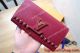 2017 Best Quality Knockoff Louis Vuitton CAPUCINES Womens Purple Wallet buy online (2)_th.jpg